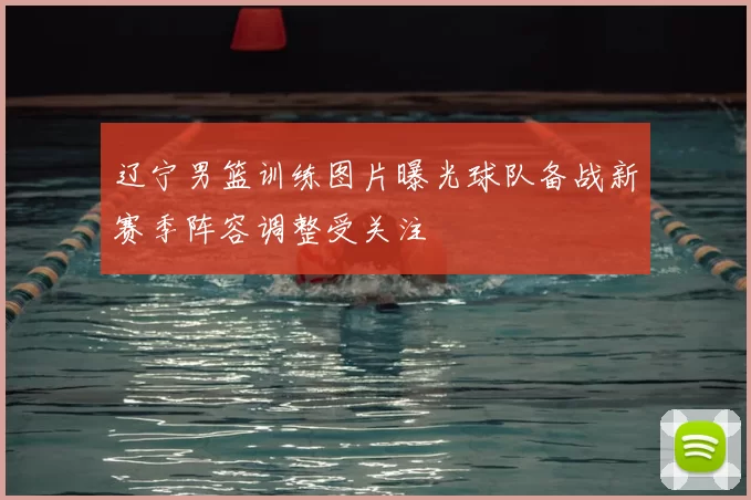 辽宁男篮训练图片曝光球队备战新赛季阵容调整受关注